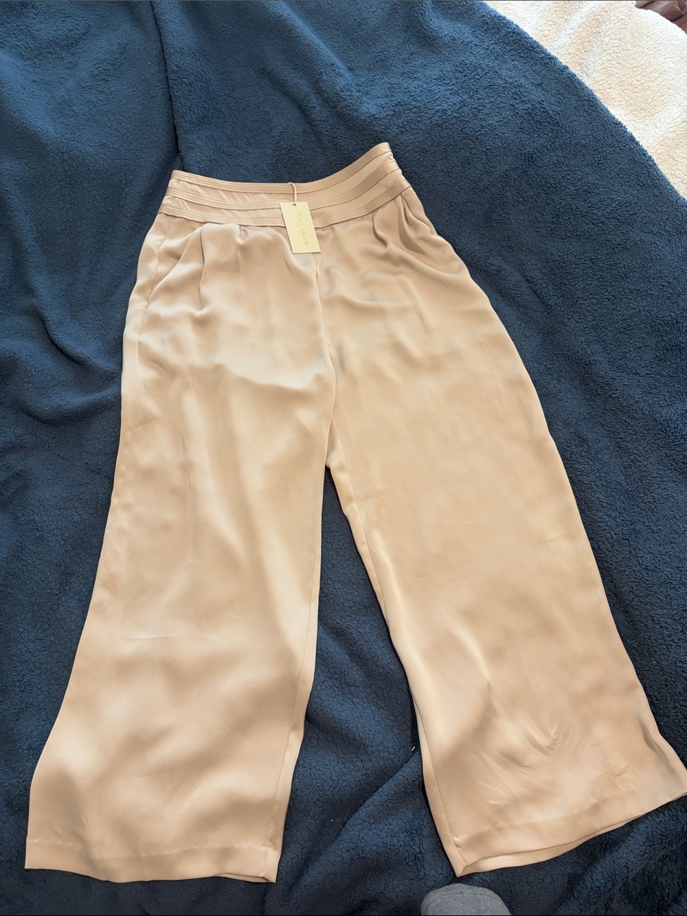 Ramy Brook Wide-Leg Satin Pants in Light Beige